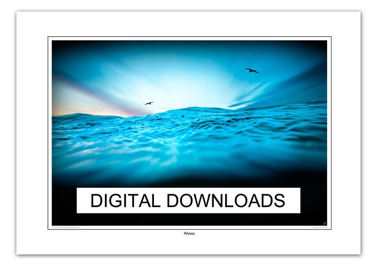 DIGITAL DOWNLOADS